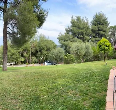 Flat Apartment Paliouri